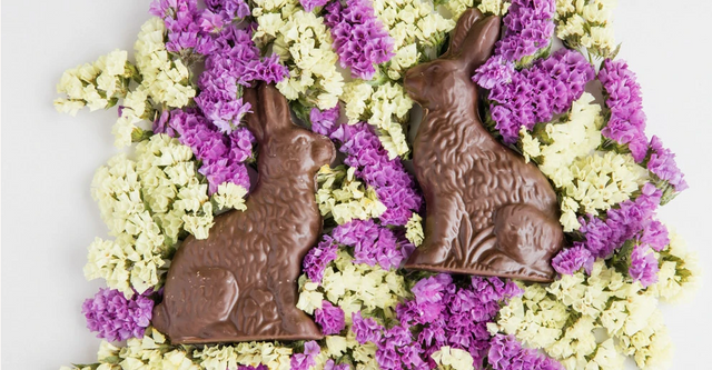 Two sugar free chocolate easter bunnies on a bed of purple and yellow flowers